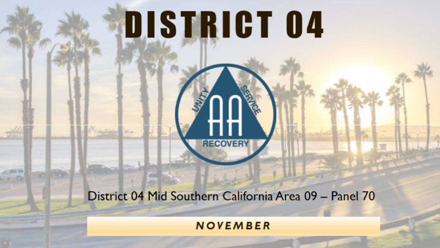 District Officer Roles & Responsibilities