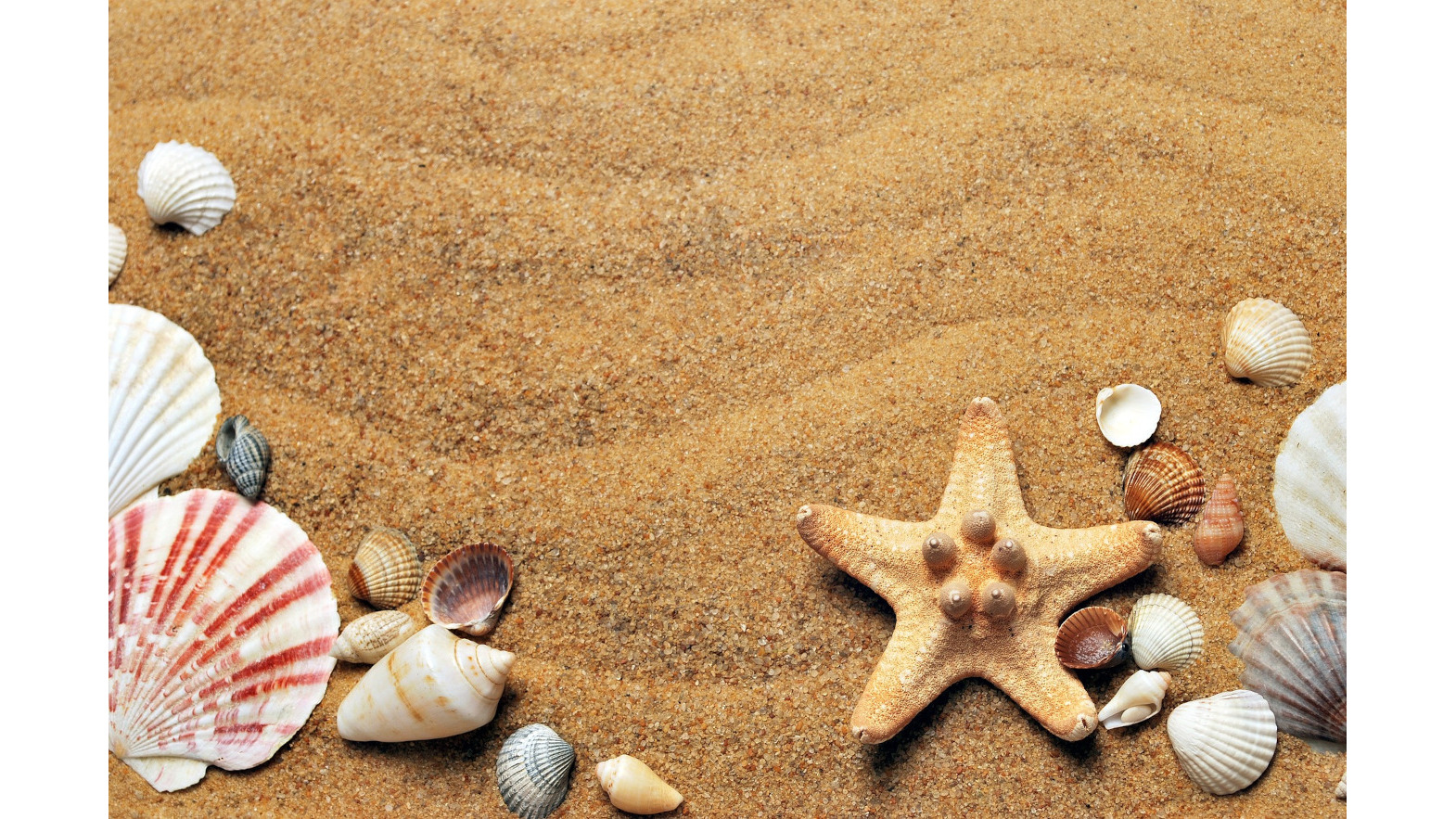 hd-wallpaper-1570x883